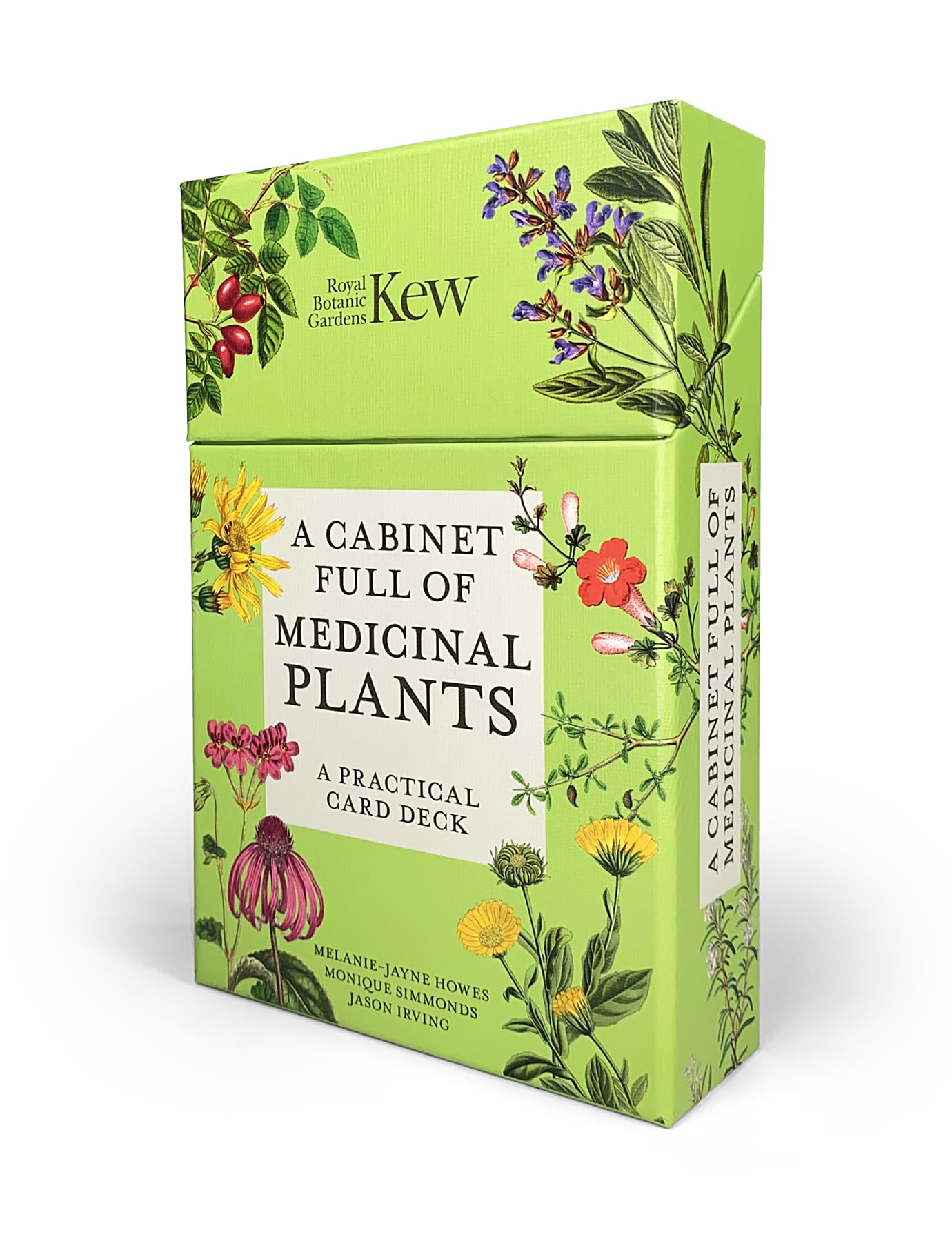 A Cabinet Full of Medicinal Plants : A Practical Card Deck - Sold by Witch, Please!