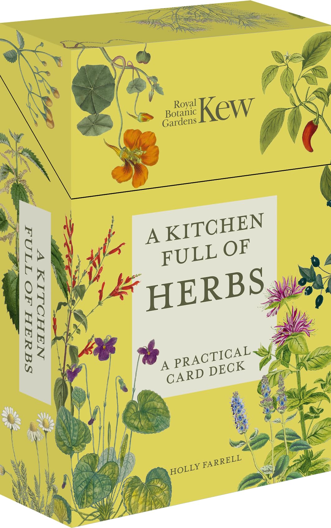 A Kitchen Full of Herbs : A Practical Card Deck - Sold by Witch, Please!