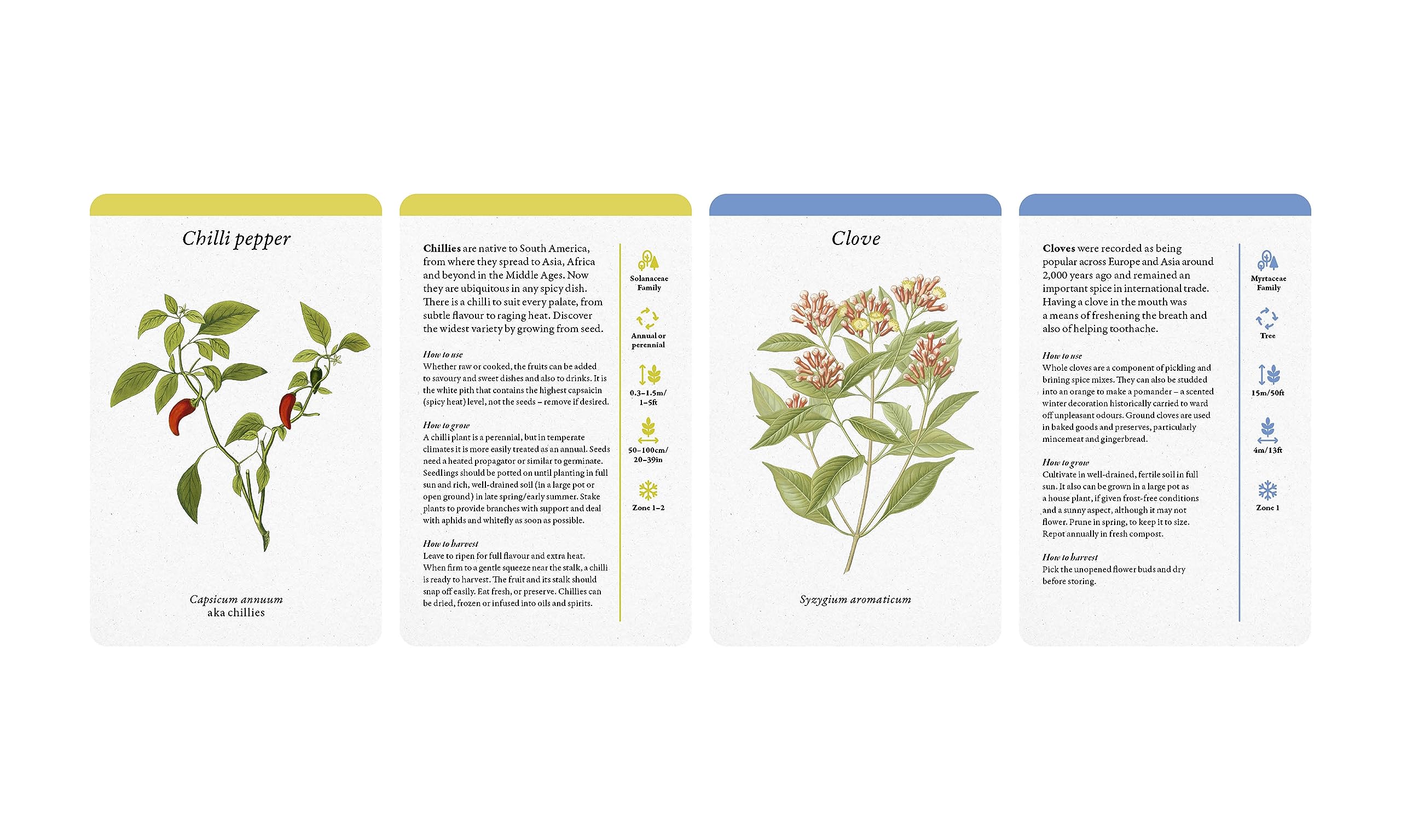 A Kitchen Full of Herbs : A Practical Card Deck - Sold by Witch, Please!