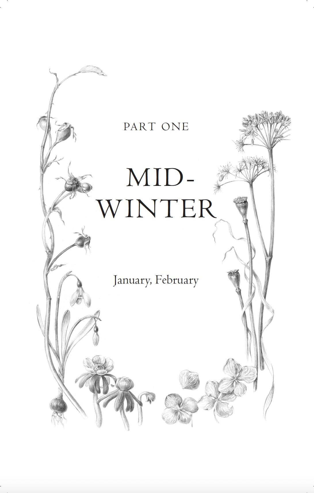 Evergreen : Discover the Joy in Every Season - Sold by Witch, Please!