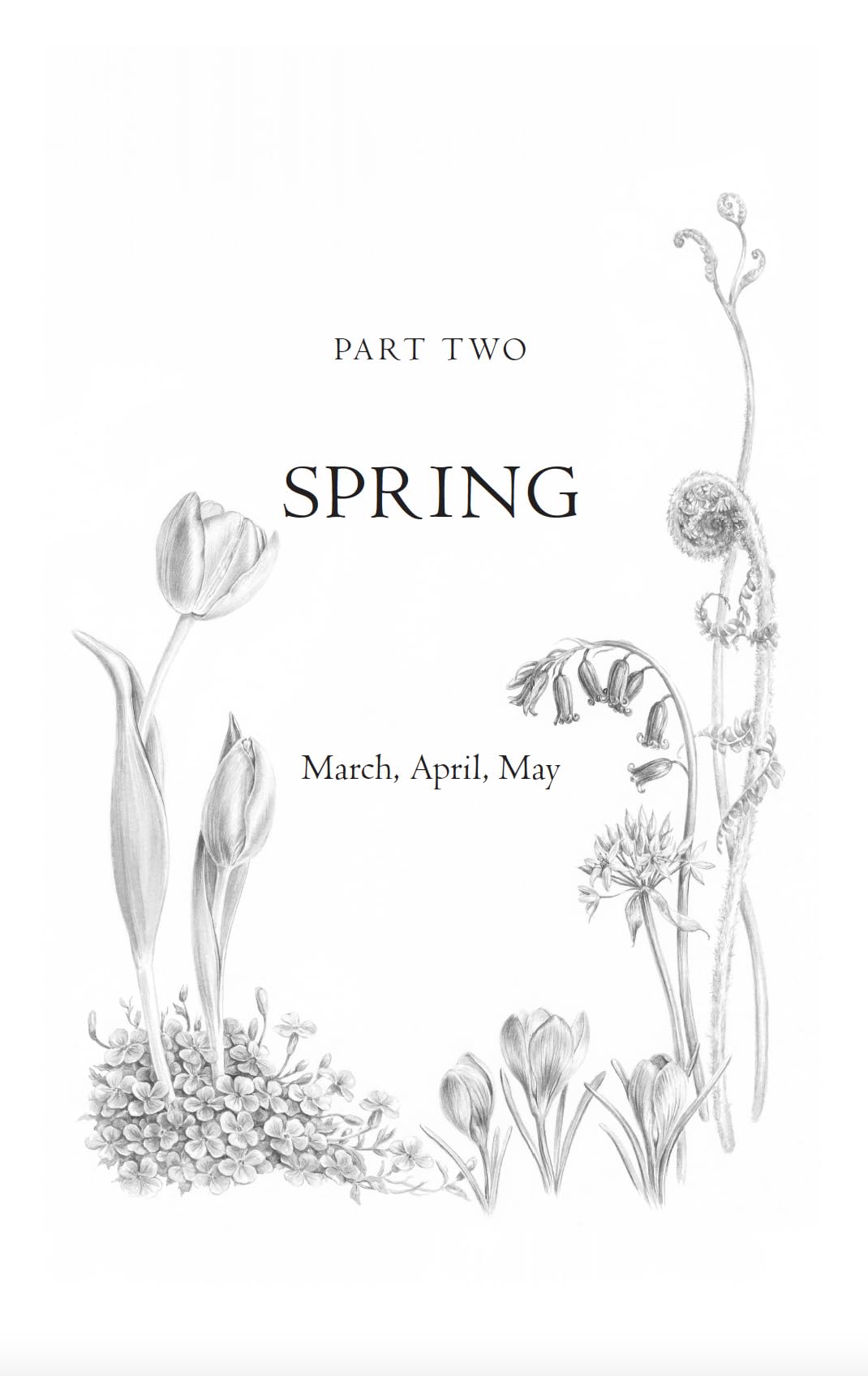 Evergreen : Discover the Joy in Every Season - Sold by Witch, Please!