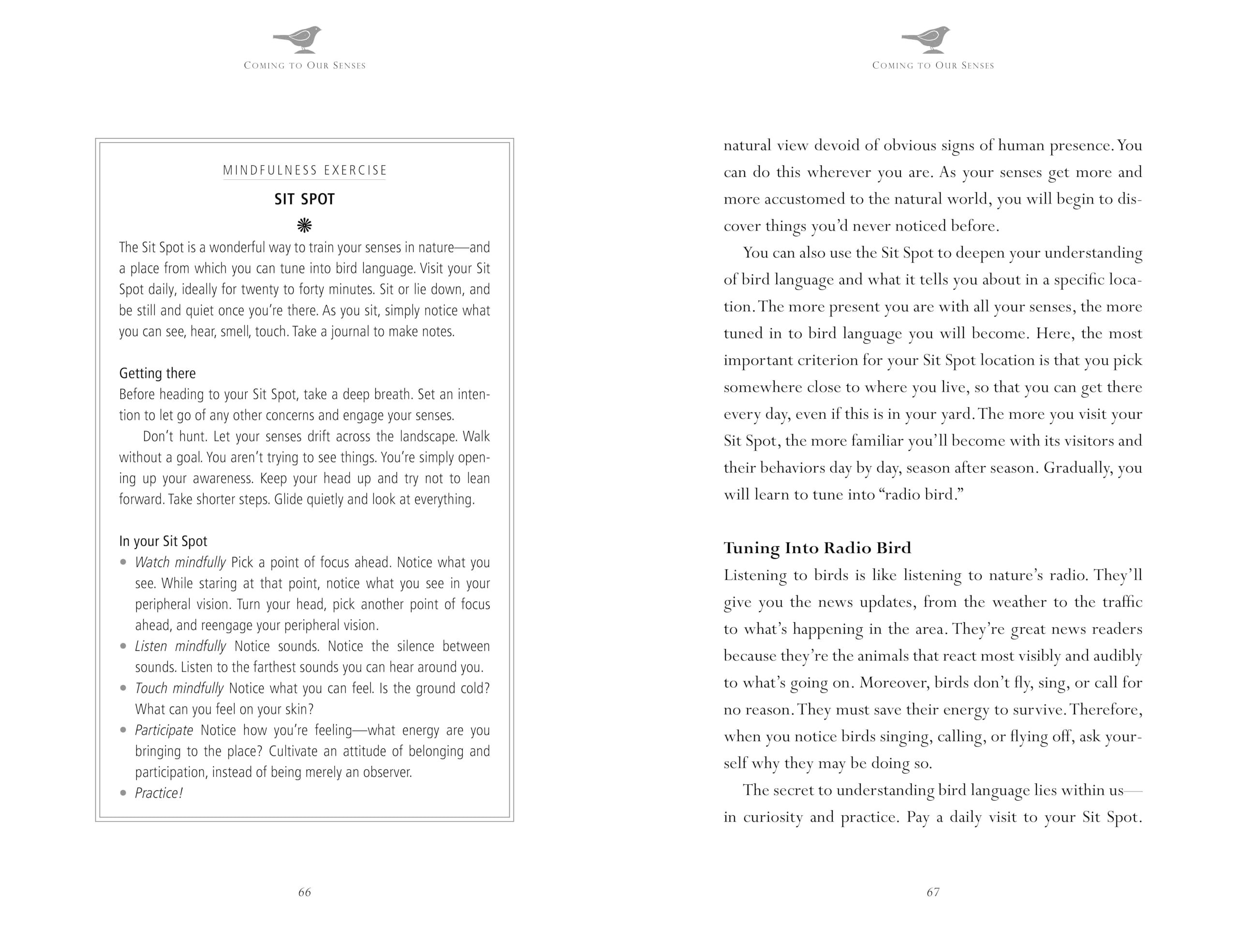 Mindfulness in Bird Watching : Meditations on Nature & Freedom - Sold by Witch, Please!