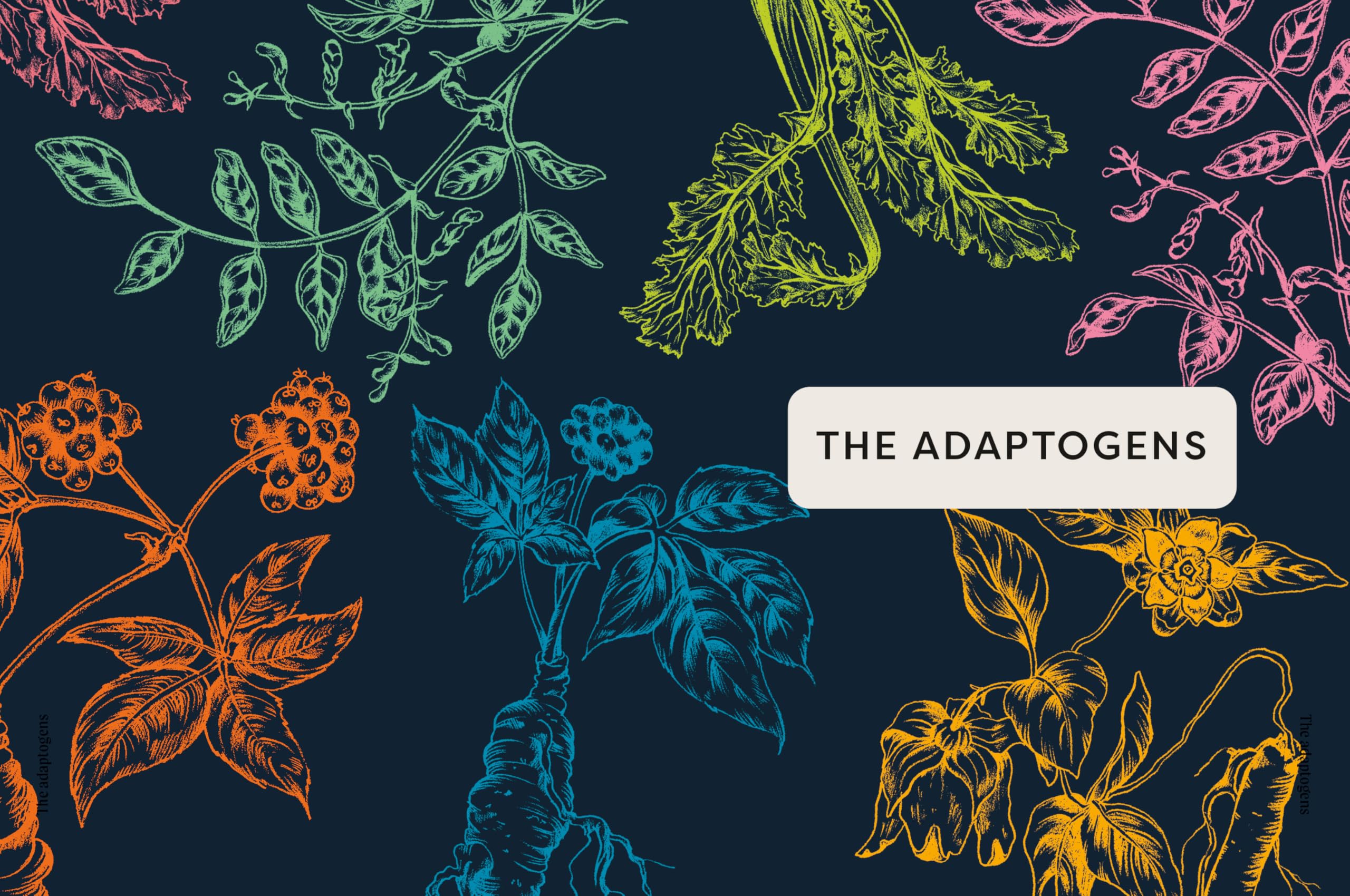 Nature's Apothecary : Harness the healing power of herbs, mushrooms and other adaptogens - Sold by Witch, Please!