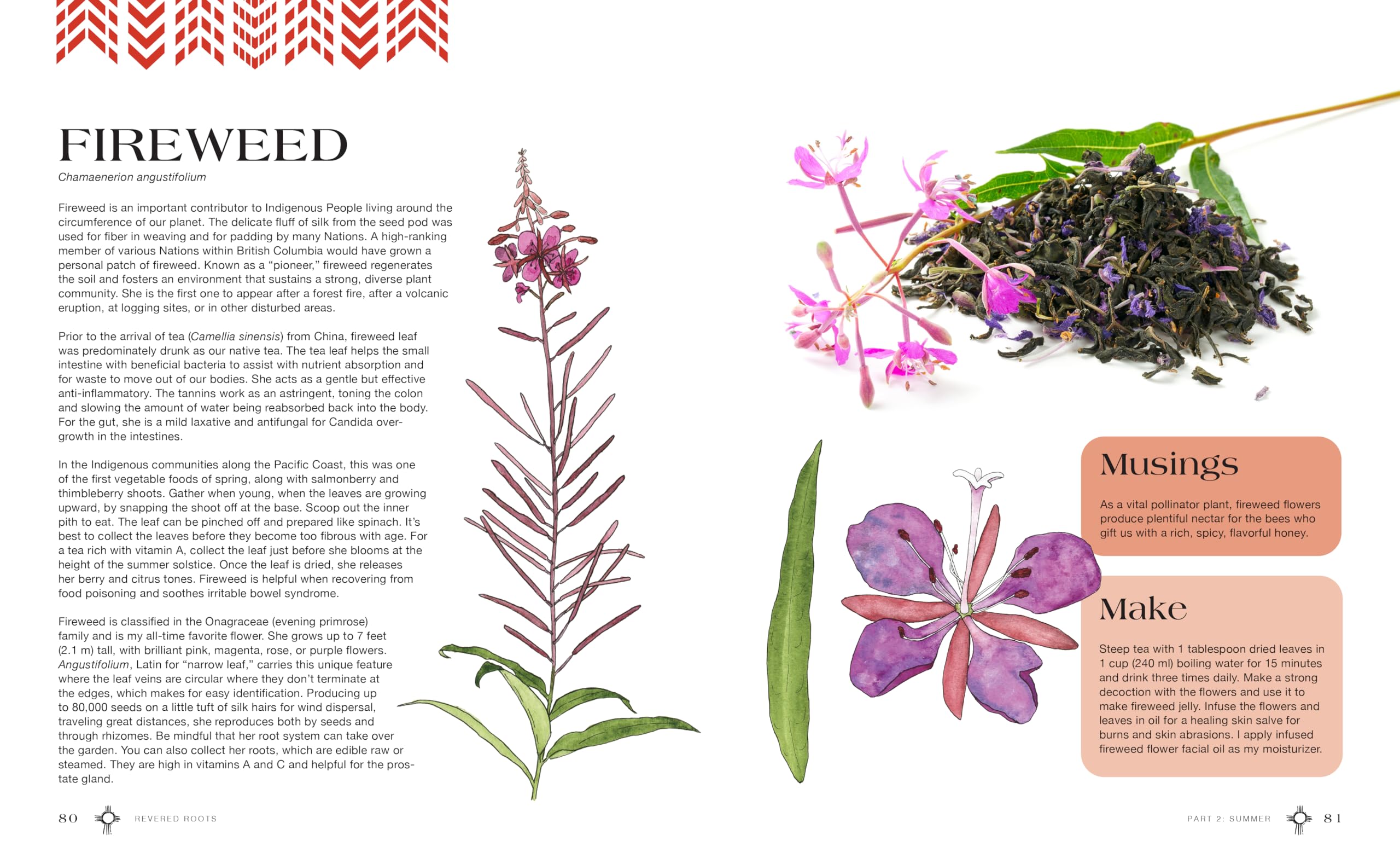 Revered Roots : Ancestral Teachings and Wisdom of Wild, Edible, and Medicinal Plants - Sold by Witch, Please!