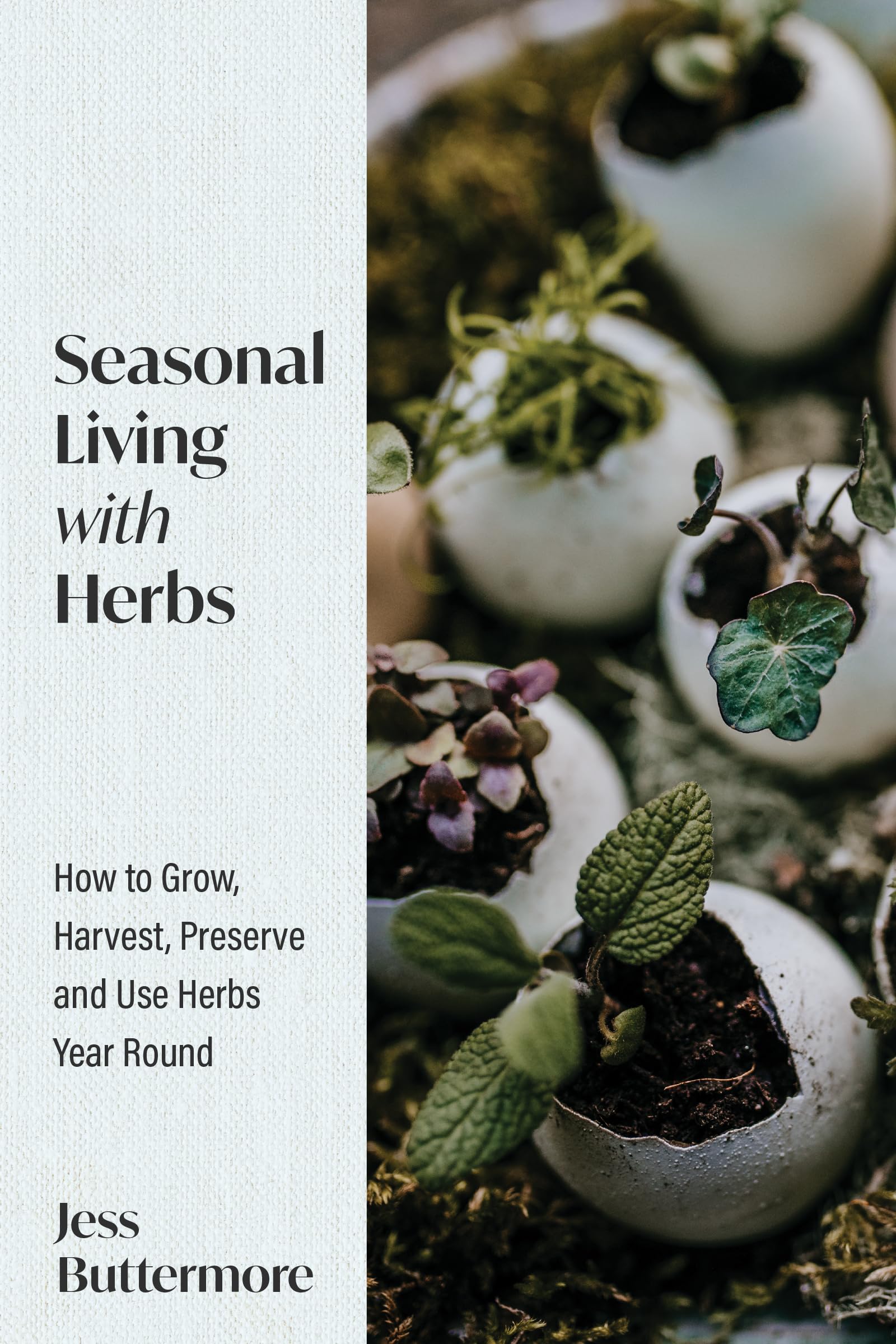 Seasonal Living with Herbs - Sold by Witch, Please!