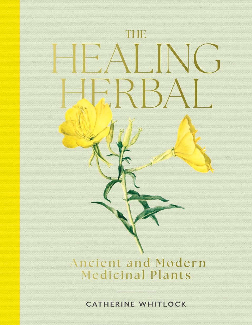 The Healing Herbal : Ancient and Modern Medicinal Plants - Sold by Witch, Please!