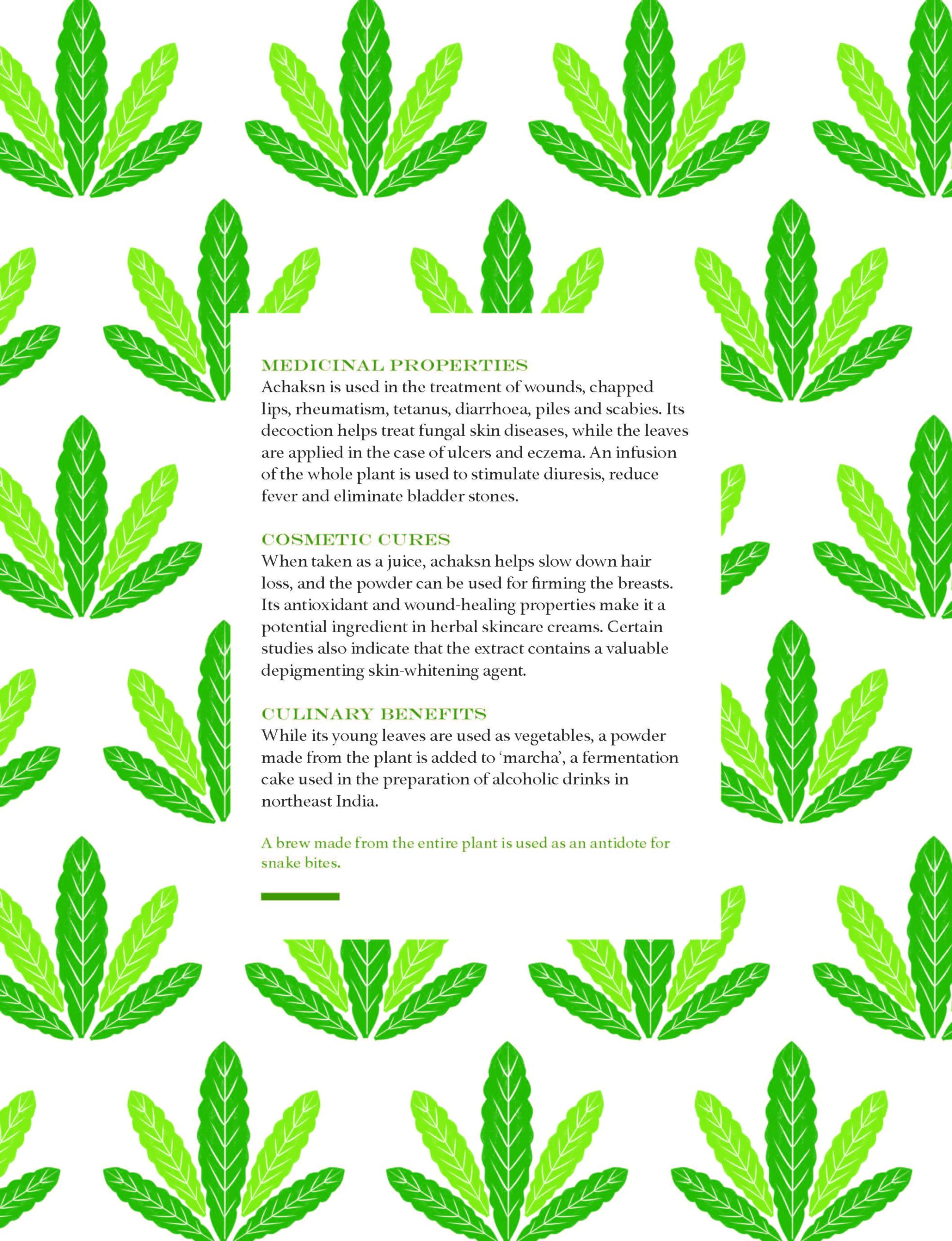 The Herbal Sutra : Indian Wisdom & Wellness Through 100 Herbs - Sold by Witch, Please!