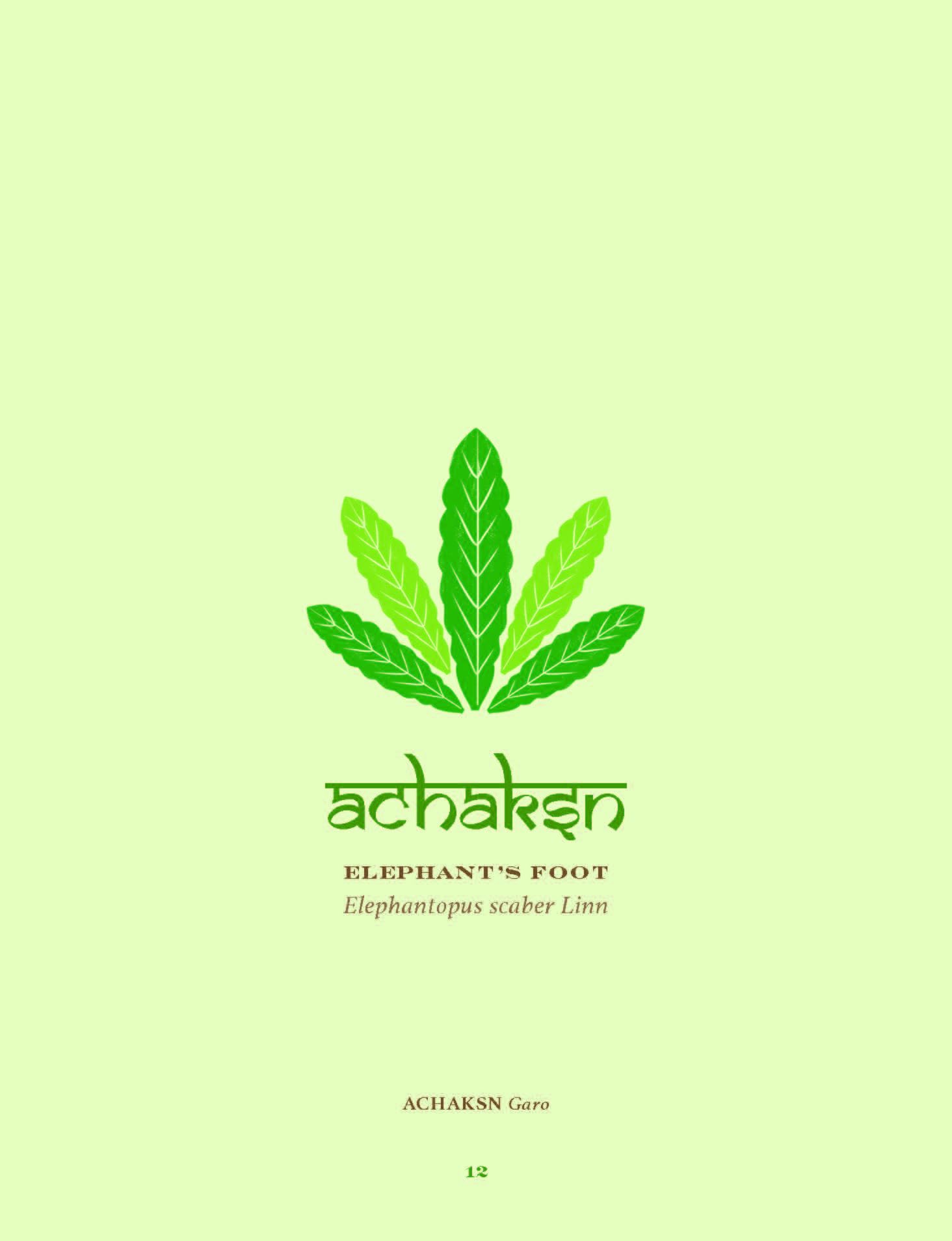 The Herbal Sutra : Indian Wisdom & Wellness Through 100 Herbs - Sold by Witch, Please!