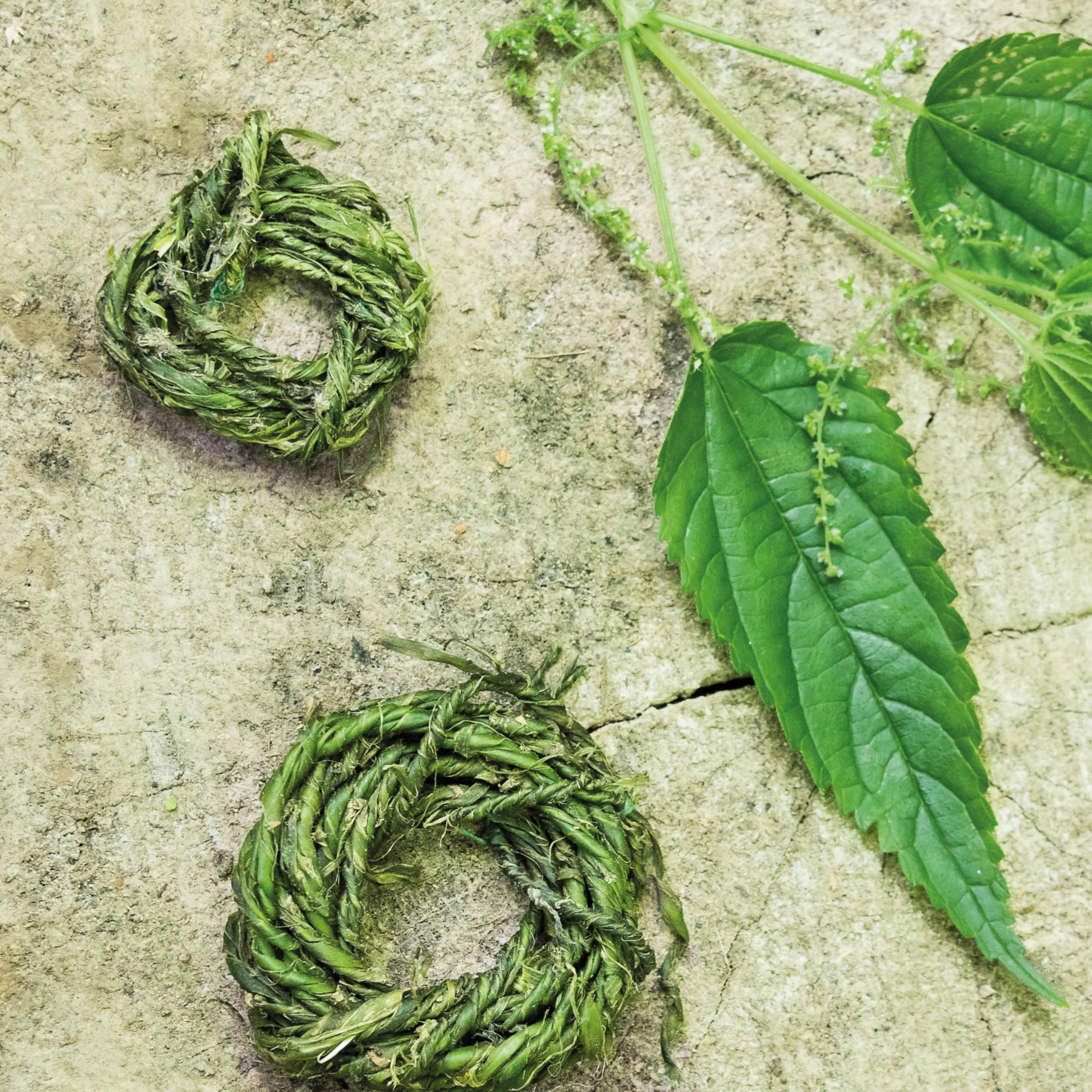 The Little Wild Library: Nettle : Simple Things to Do with the Plants Around You - Sold by Witch, Please!