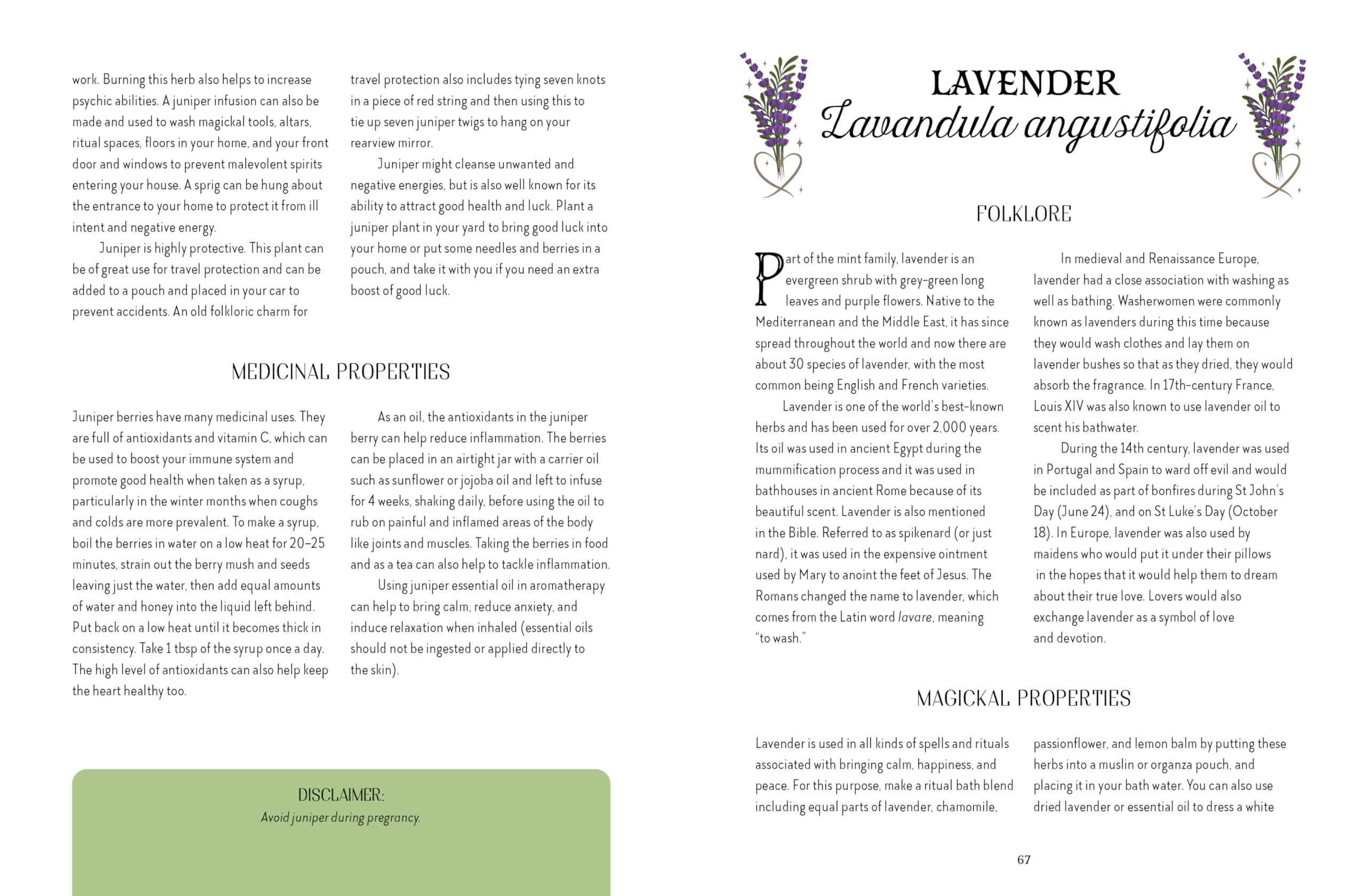 The Witch of the Forest's Guide to Folklore Magick : Connect to the wisdom of our elders. Embrace the power of green magick.