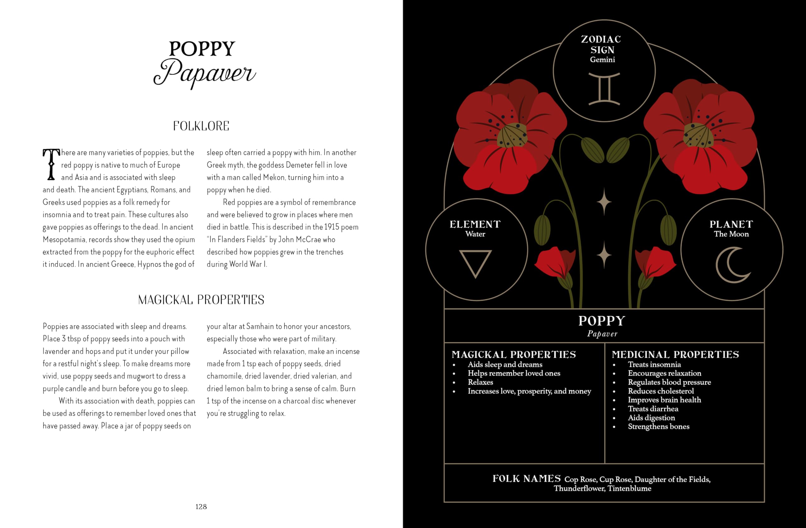 The Witch of the Forest's Guide to Folklore Magick : Connect to the wisdom of our elders. Embrace the power of green magick.