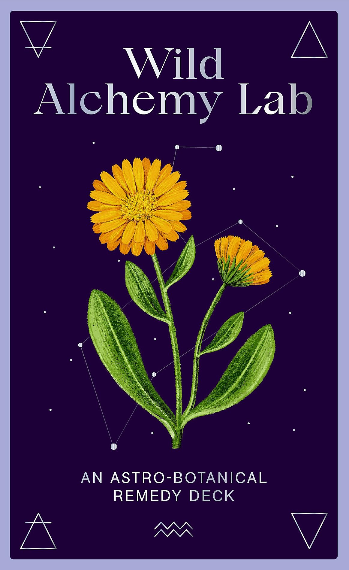 Wild Alchemy Lab : An Astro-botanical Remedy Deck - Sold by Witch, Please!