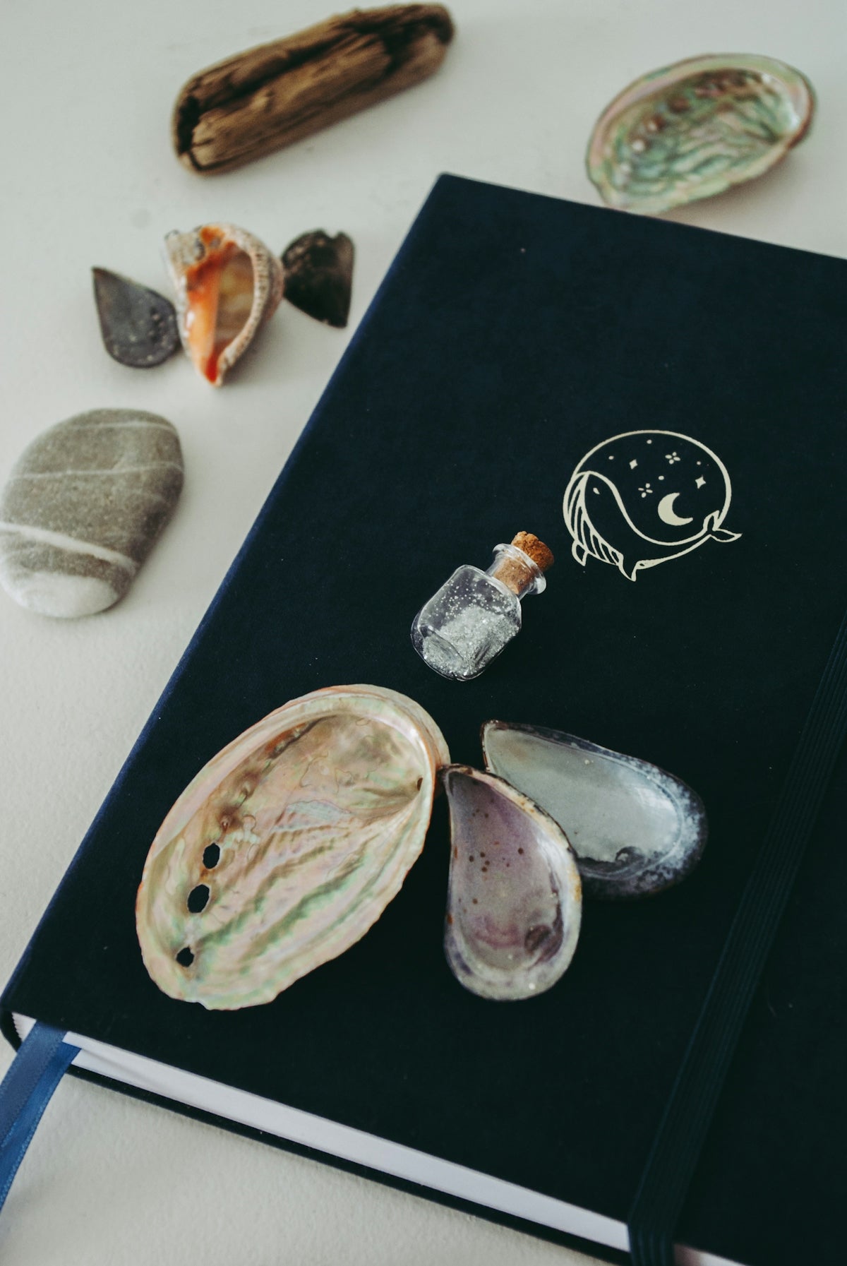 a book with shells and a bottle on top of it