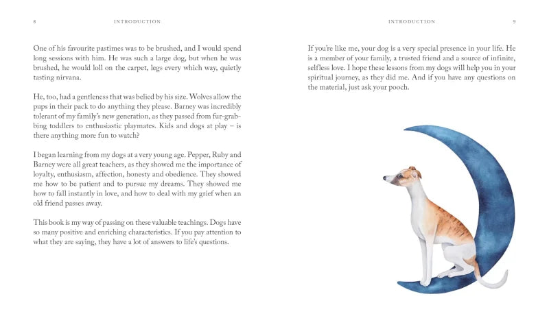 10 Spiritual Lessons You Can Learn from Your Dog : Essential Life Lessons We Can Learn From Our Furry Friend