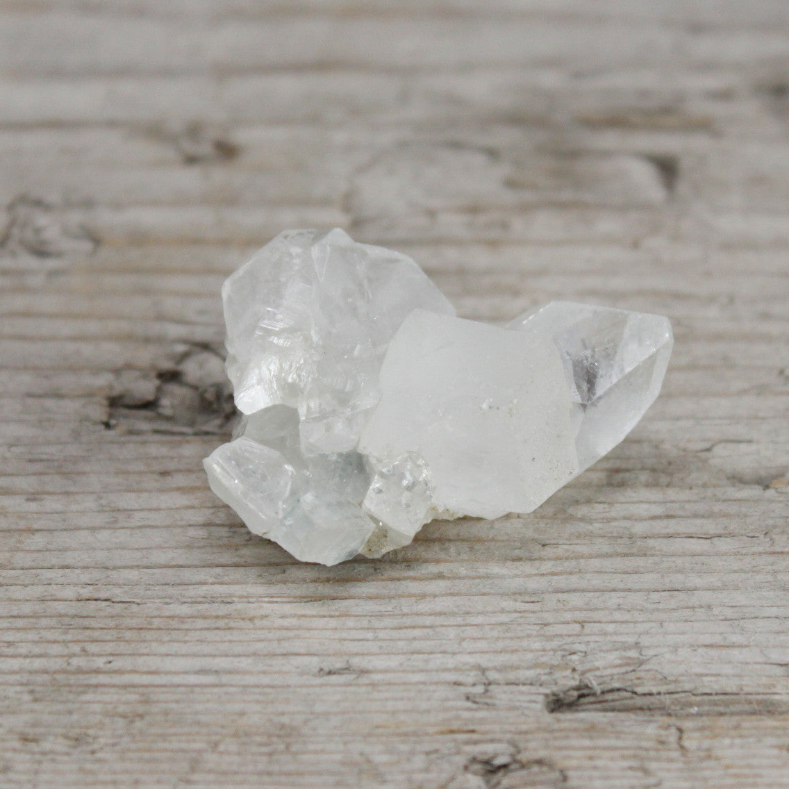 White Appophyllite Clusters 20-30mm From Witch, Please!