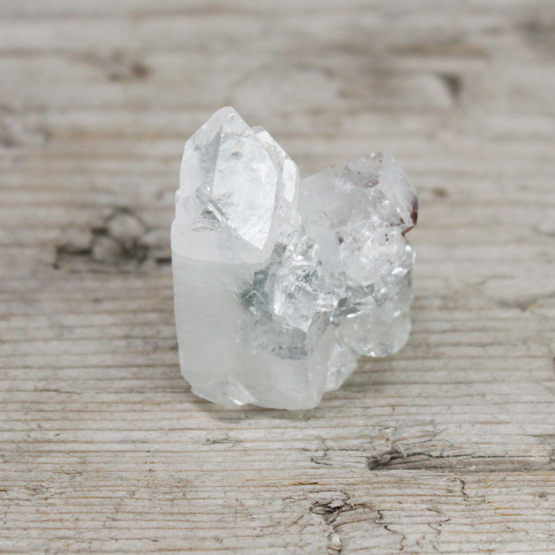 White Appophyllite Clusters 20-30mm From Witch, Please!