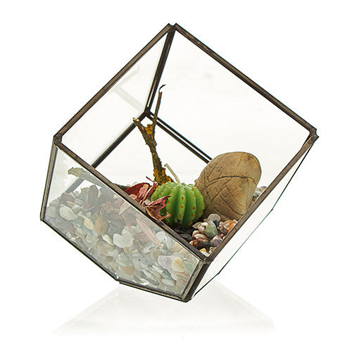 Glass Terrarium - Cube on Corner From Witch, Please!