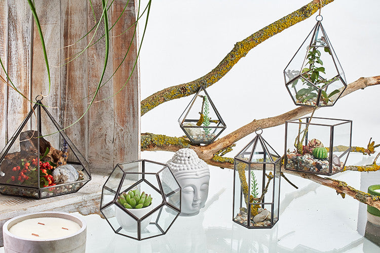 Glass Terrarium - Cube on Corner From Witch, Please!