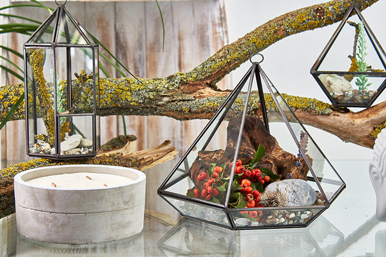 Glass Terrarium - Large Diamond From Witch, Please!