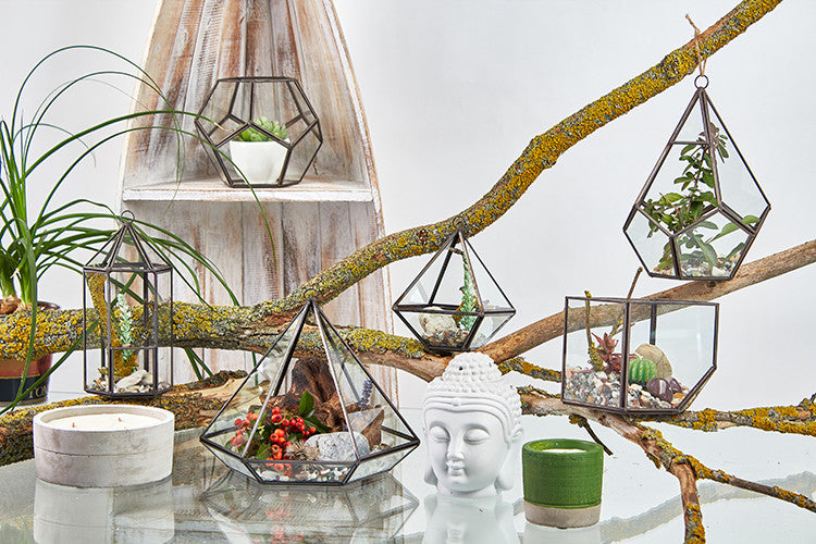 Glass Terrarium - Cube on Corner From Witch, Please!