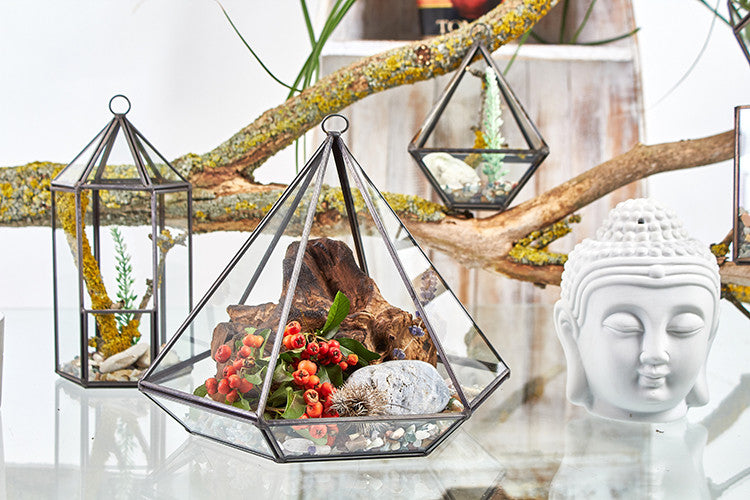 Glass Terrarium - Large Diamond From Witch, Please!