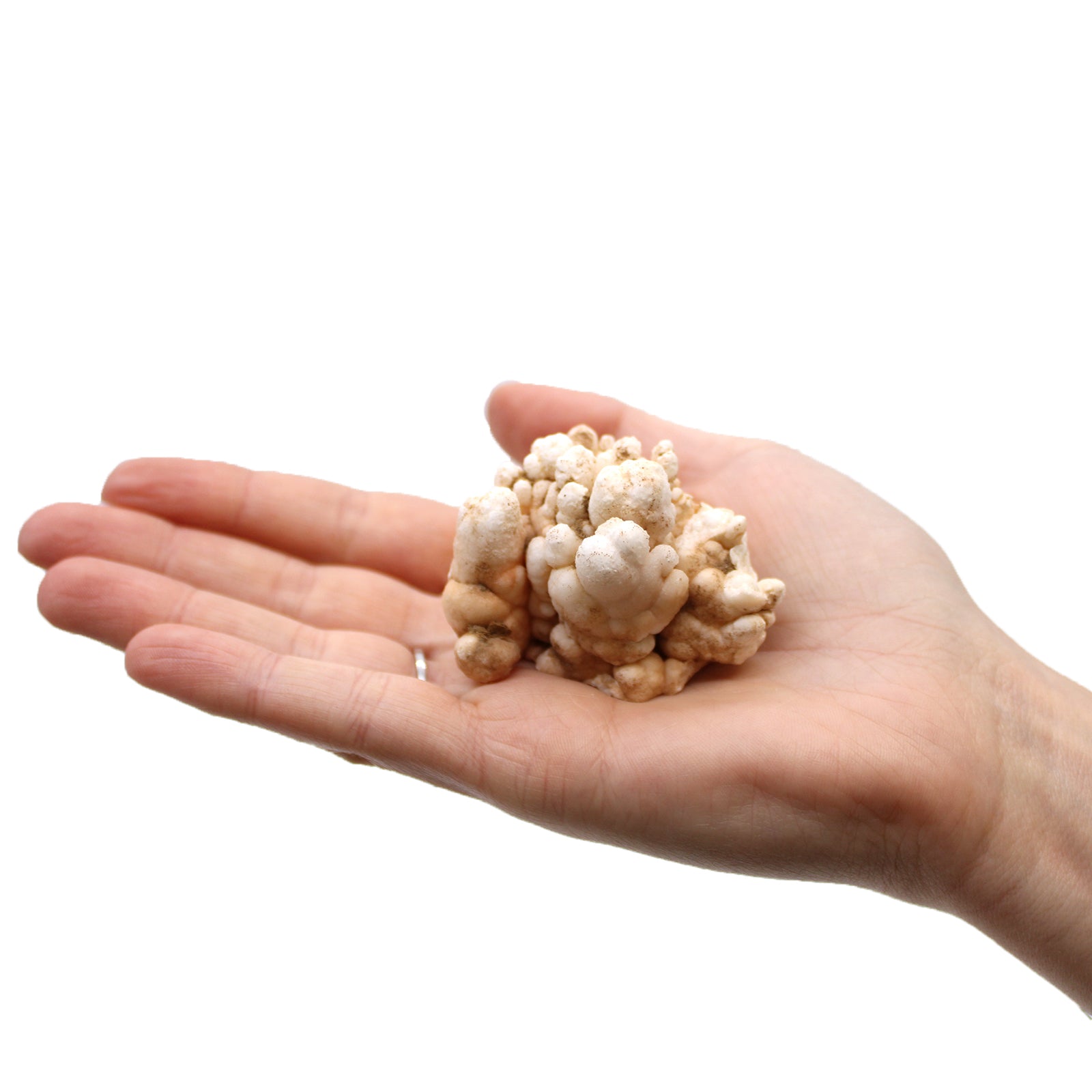 Finger Quartz (1kg pack) From Witch, Please!