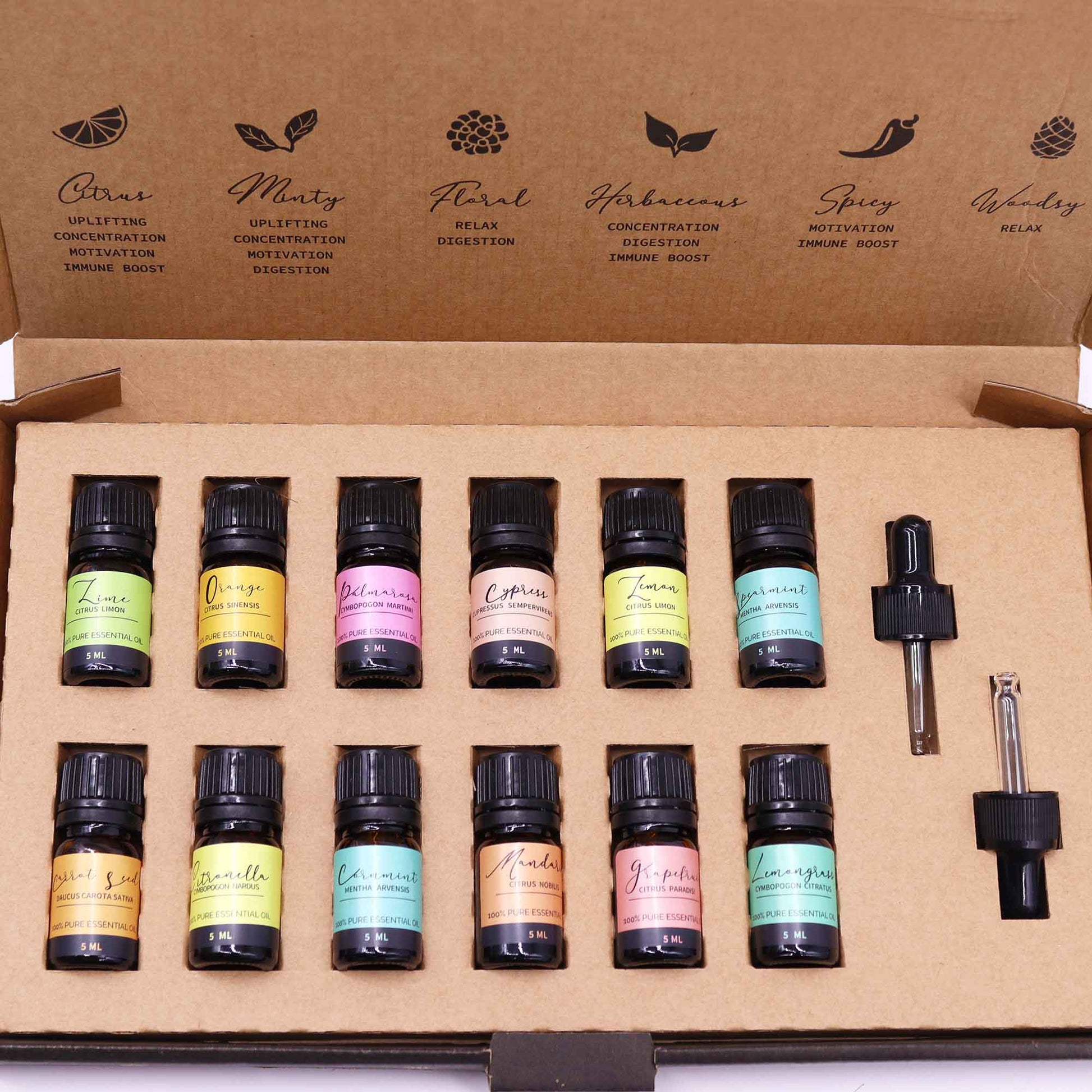 Aromatherapy Essential Oil Set - Summer From Witch, Please!