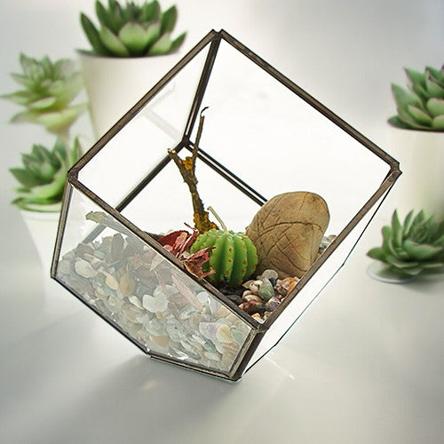 Glass Terrarium - Cube on Corner From Witch, Please!