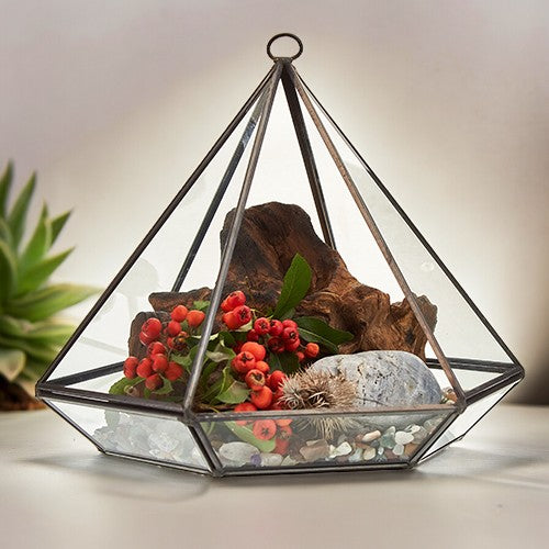 Glass Terrarium - Large Diamond From Witch, Please!