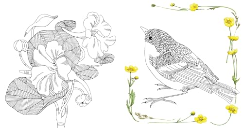 Magical Nature : Coloring Pages for Relaxation and Happiness