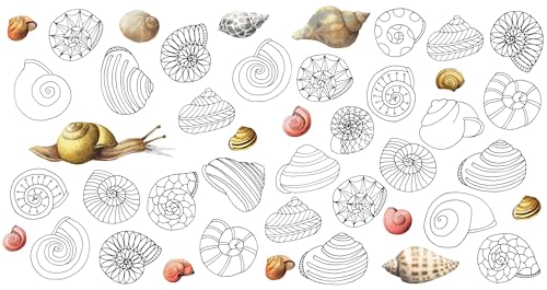 Magical Nature : Coloring Pages for Relaxation and Happiness