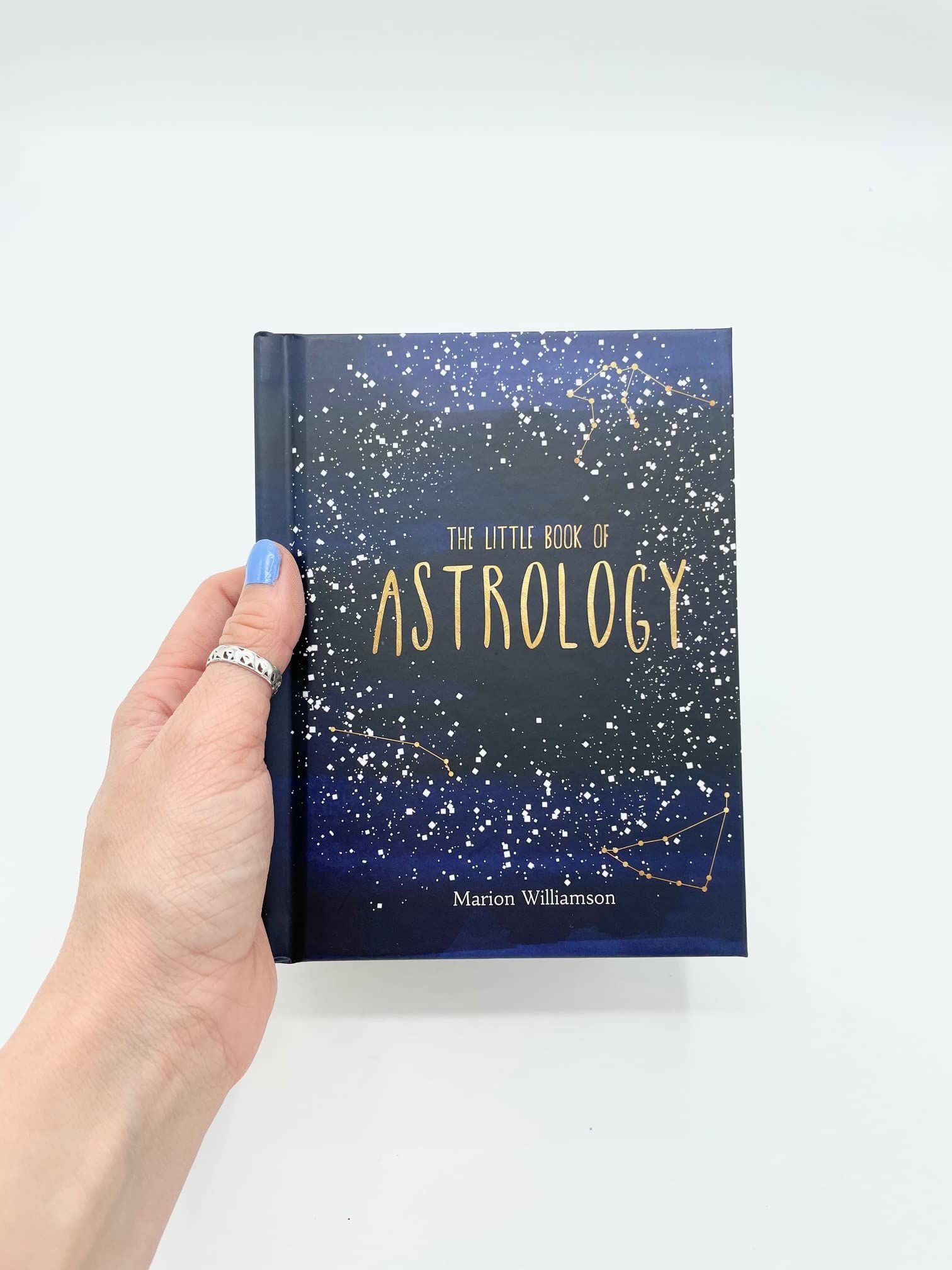 The Little Book of Astrology : An Introduction to Star Signs and Birth Charts - Sold by Witch, Please!
