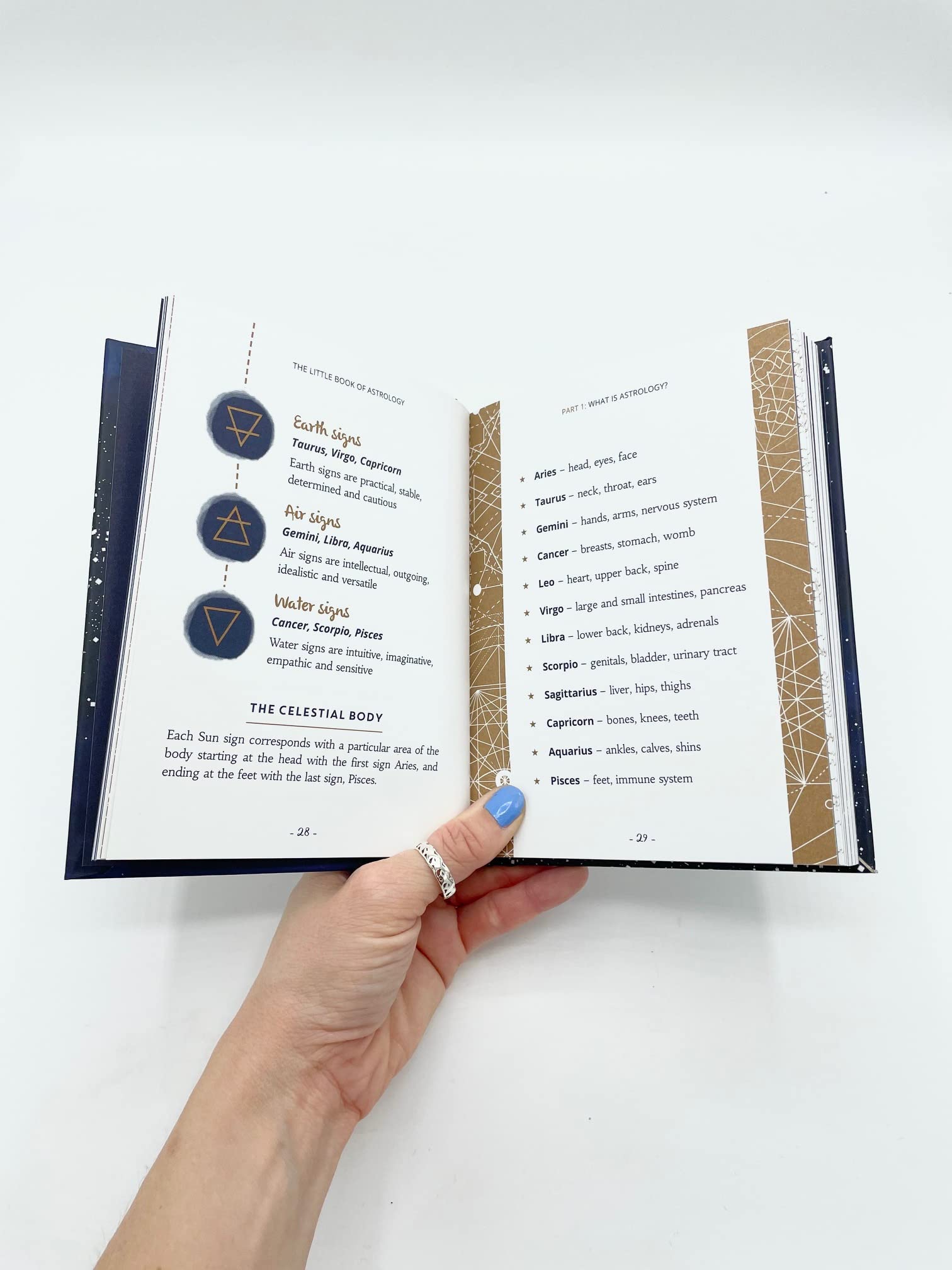 The Little Book of Astrology : An Introduction to Star Signs and Birth Charts - Sold by Witch, Please!