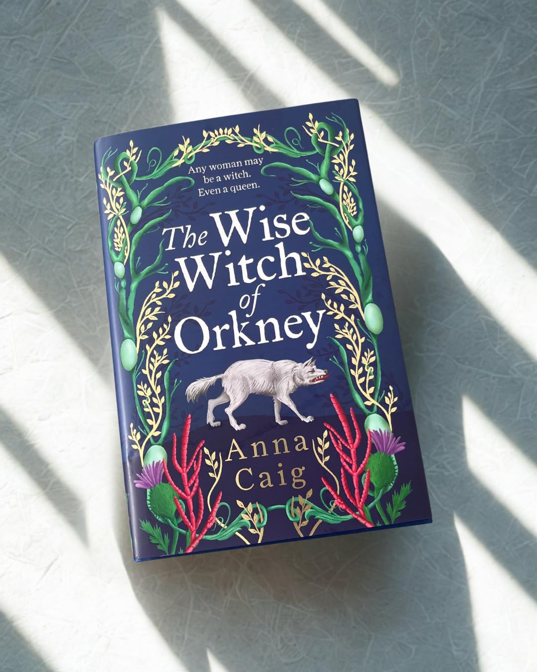 The Wise Witch of Orkney : A spell-binding debut novel about Scotland’s witch-hunting hysteria