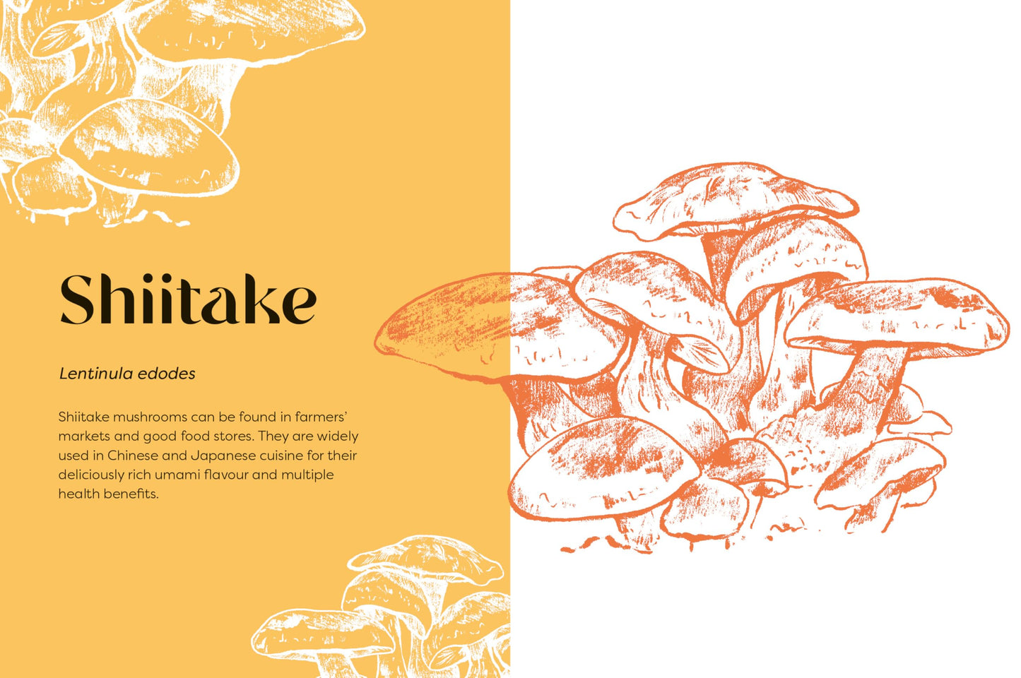 Nature's Apothecary : Harness the healing power of herbs, mushrooms and other adaptogens - Sold by Witch, Please!
