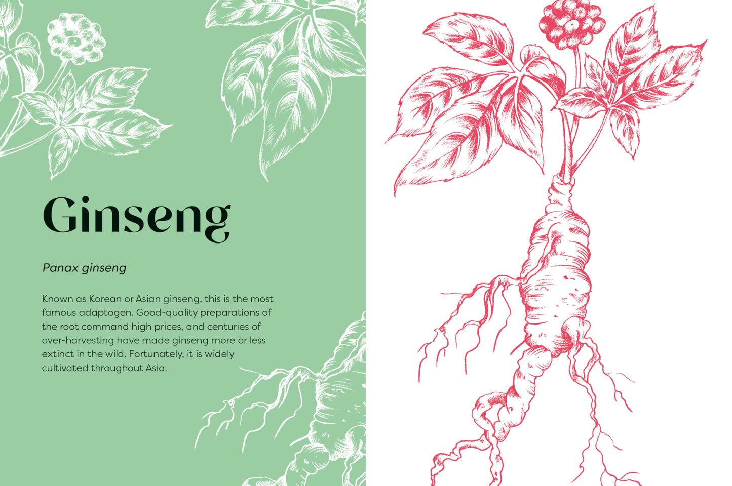 Nature's Apothecary : Harness the healing power of herbs, mushrooms and other adaptogens - Sold by Witch, Please!