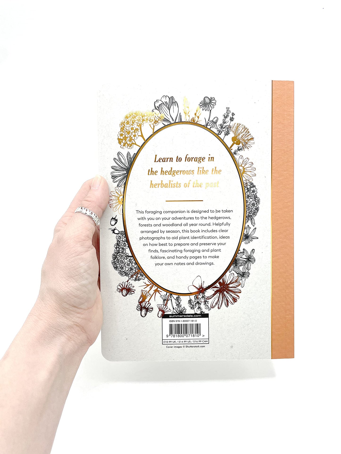 The Hedgerow Apothecary Forager's Handbook : A Seasonal Companion to Finding and Gathering Wild Plants - Sold by Witch, Please!