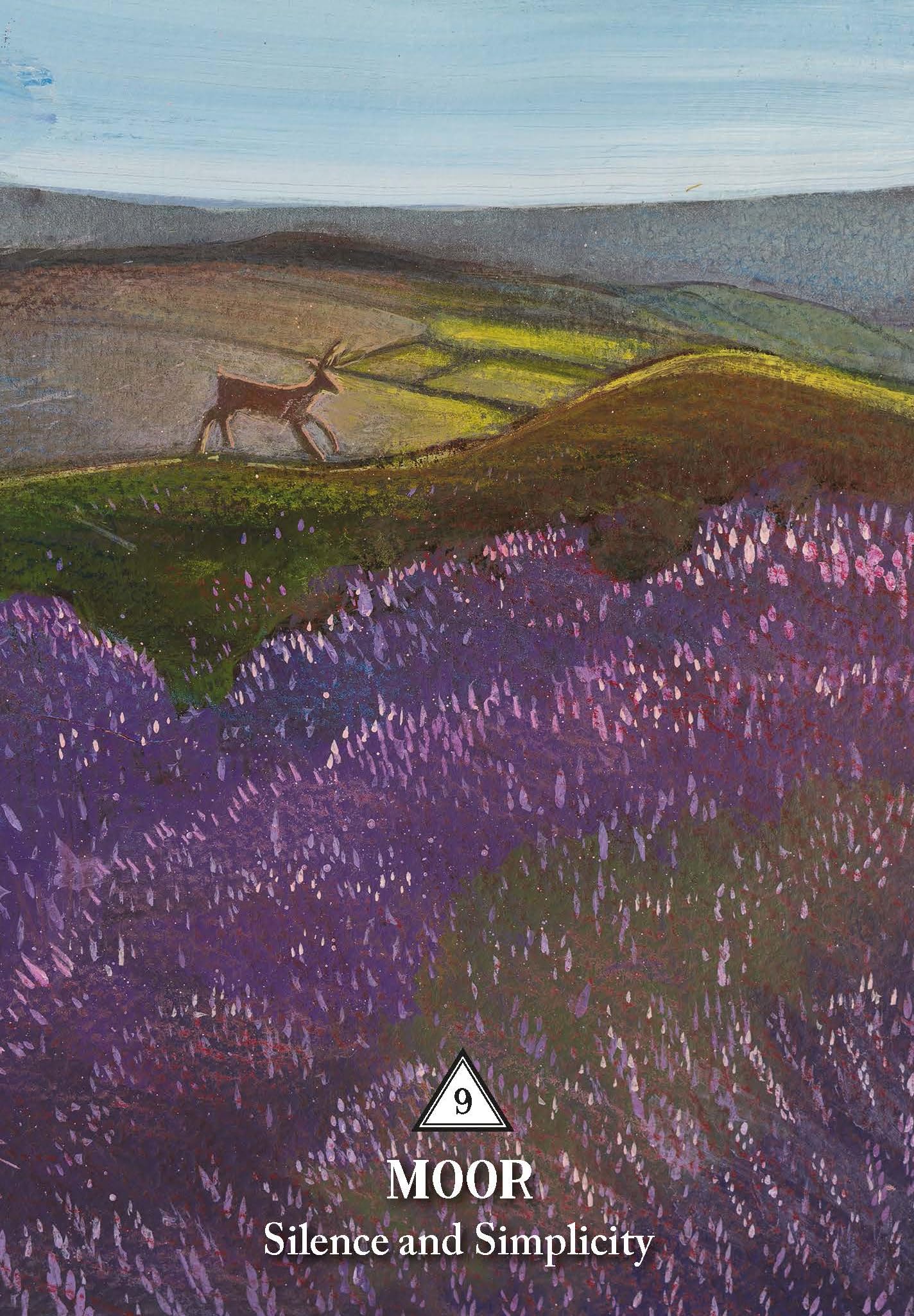 The Rooted Woman Oracle : A 53-Card Deck and Guidebook - Sold by Witch, Please!