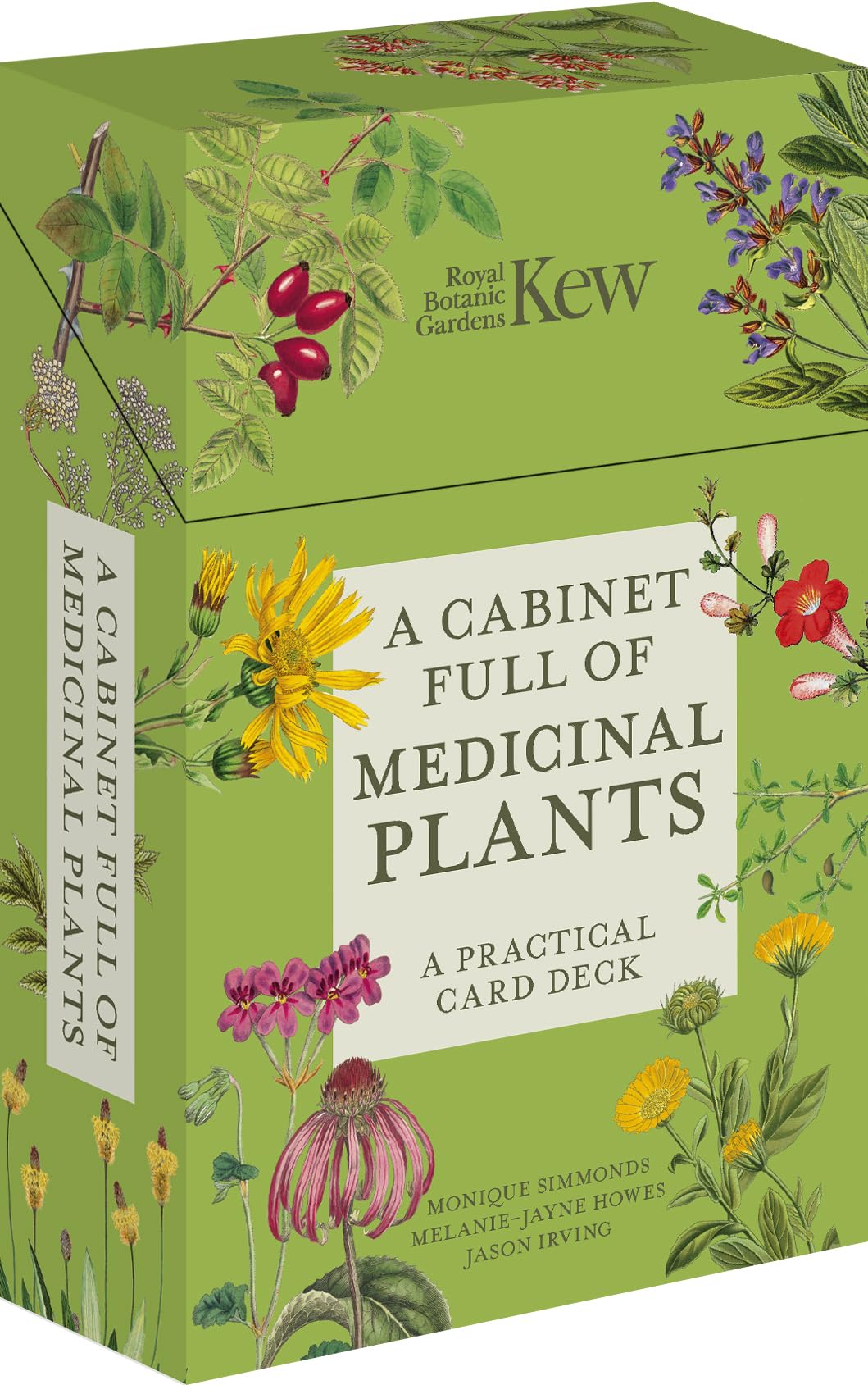 A Cabinet Full of Medicinal Plants : A Practical Card Deck - Sold by Witch, Please!