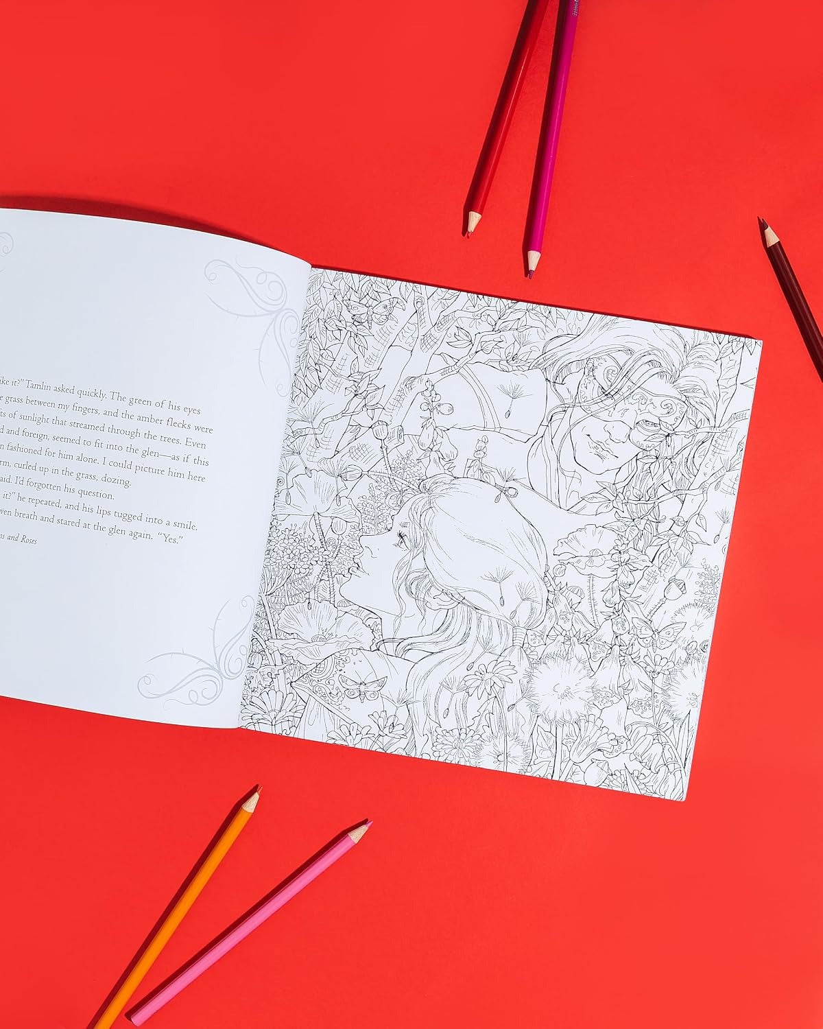 A Court of Thorns and Roses Coloring Book Paperback / softback
