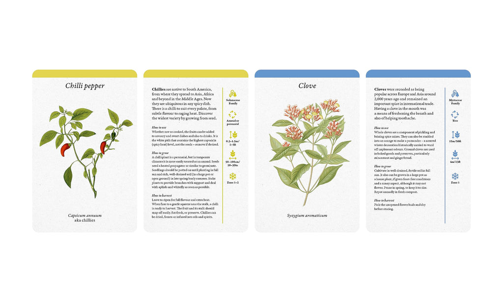 A Kitchen Full of Herbs : A Practical Card Deck - Sold by Witch, Please!