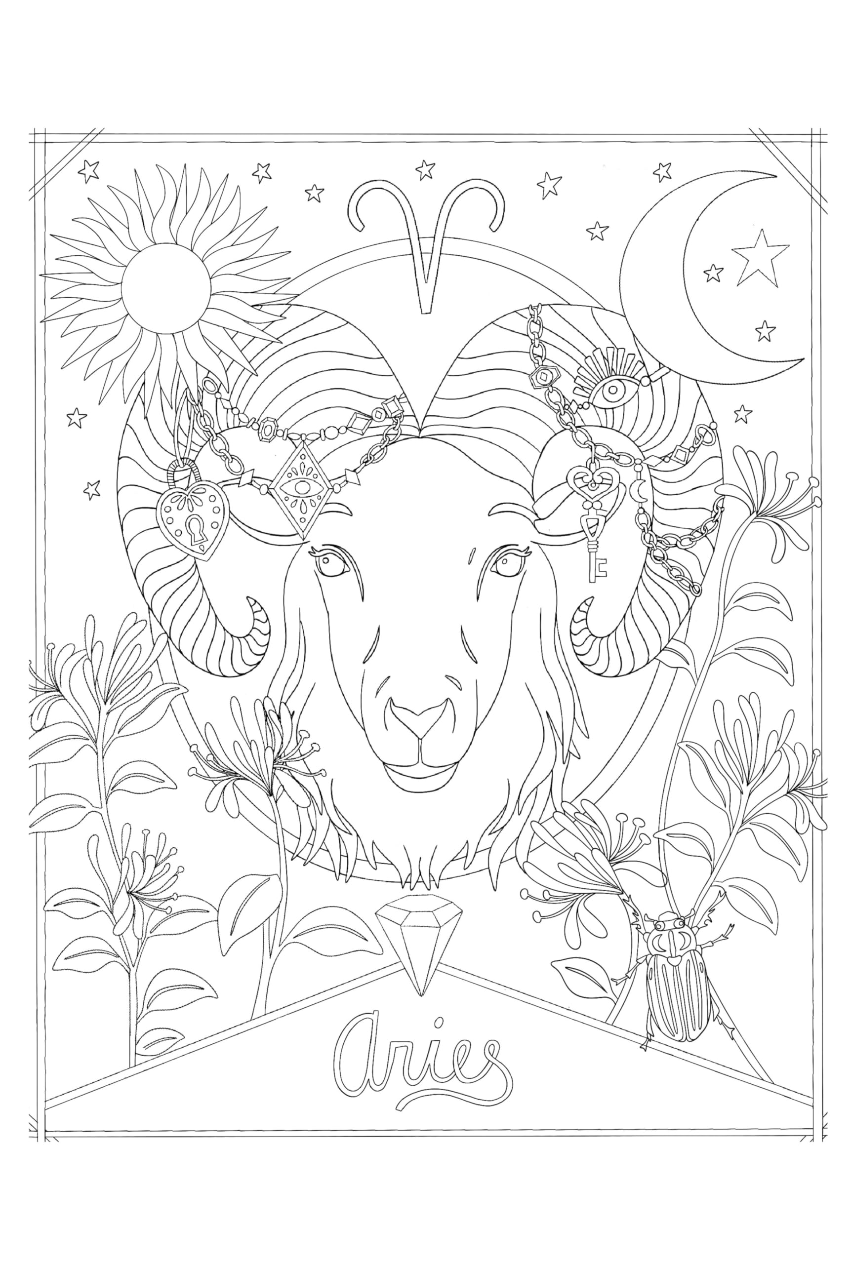 A Mystical Coloring Book: Zodiac Magic : 50 Inspiring Images to Color.