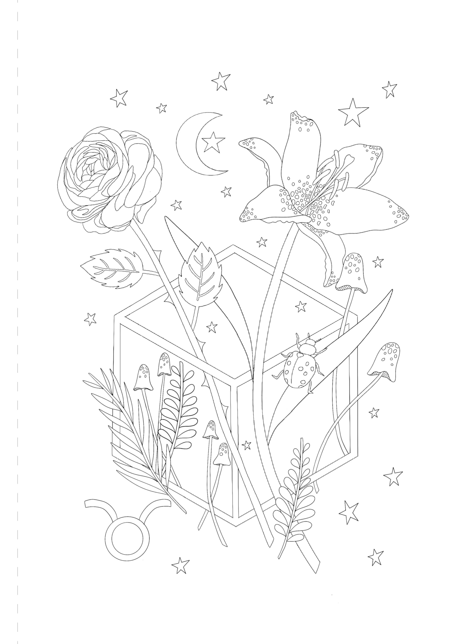 A Mystical Coloring Book: Zodiac Magic : 50 Inspiring Images to Color.