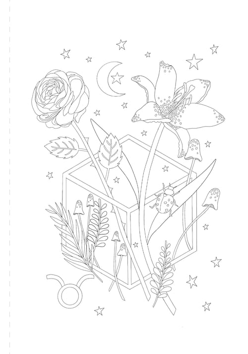 A Mystical Coloring Book: Zodiac Magic : 50 Inspiring Images to Color.