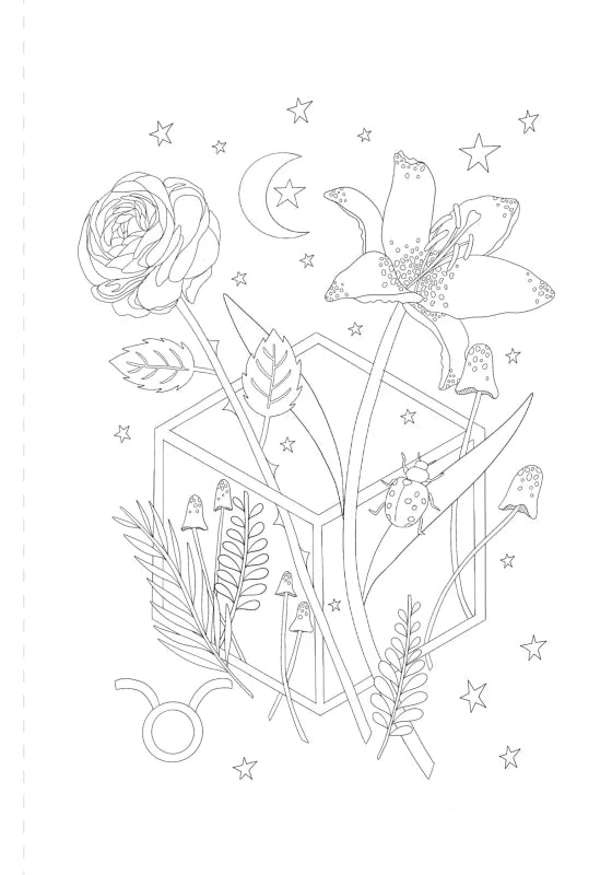 A Mystical Coloring Book: Zodiac Magic : 50 Inspiring Images to Color.