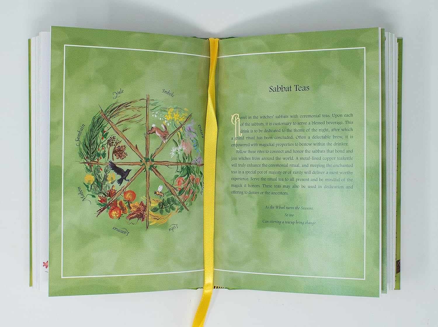 A Tea Witch’s Grimoire: Magickal Recipes for Your Time Hardback Book