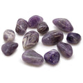 Medium African Tumble Stones - Amethyst From Witch, Please!