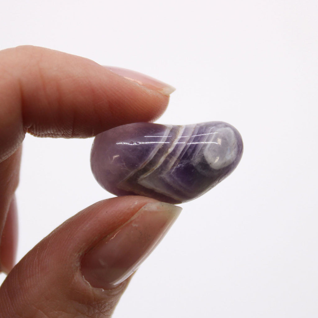 Small African Tumble Stones - Amethyst From Witch, Please!