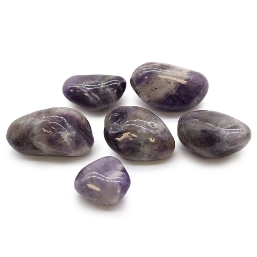 Large African Tumble Stones - Amethyst From Witch, Please!