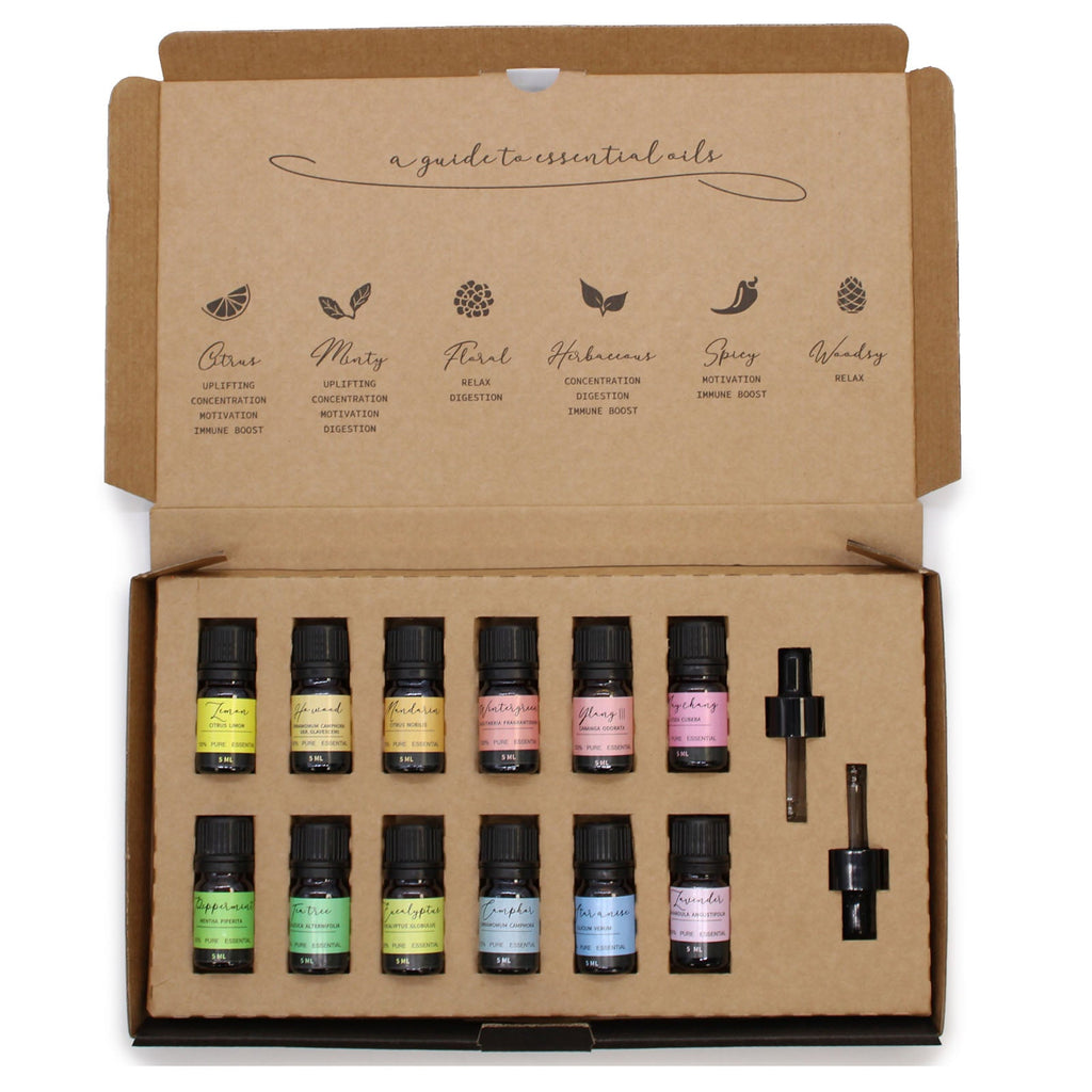 Aromatherapy Essential Oil Set - Starter Pack From Witch, Please!